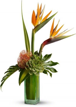 Birds of Beauty Flowers Birthday for everyone in Los Angeles, CA | MY BELLA FLOWER