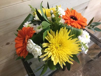 Birthday Cheer 