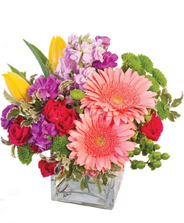 Birthday Confetti Birthday Flowers in Albany, NY | Ambiance Florals & Events