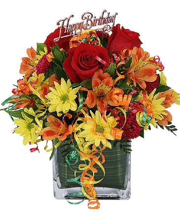 Birthday Dazzle Bouquet in Winnipeg, MB | Ann's Flowers & Gifts