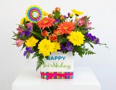 Birthday Delight Birthday Special