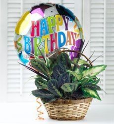 Birthday Garden 
