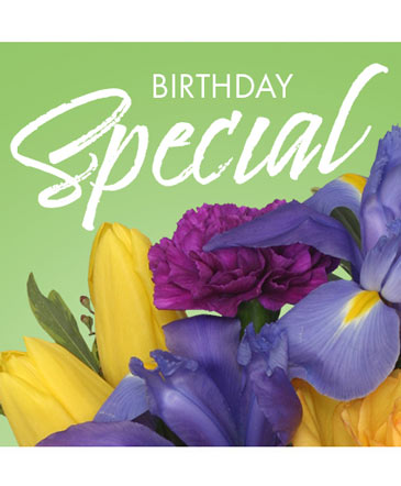 Birthday Special Designer's Choice in Cassopolis, MI | VILLAGE FLORAL