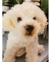 Biscuit and 3 balloons Bearington Collection