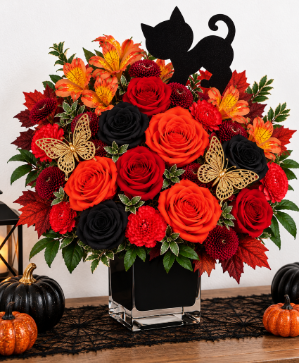 Black Cat’s Golden Spell Call Us for Faster Service & Daily Specials: (915) 303-8500 Text Us to Order Anytime: (915) 505-3708 Your trusted source for Flowers & Delivery in El Paso TX 