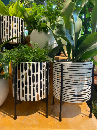 Black Gold White  ceramic planter on stand for 6" plant
