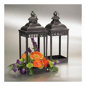 BLACK LANTERN - NAP-17554 Memorial Tribute