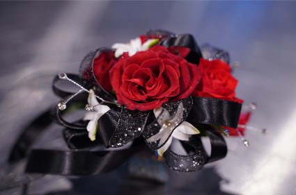 Black & Red  Wristlet