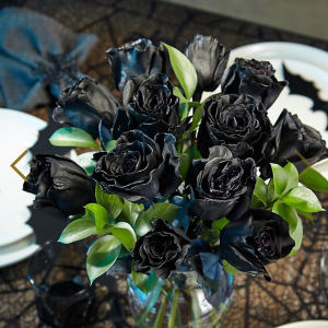 Black Roses Dozen in Panama City Beach, FL - Magnolia's Flowers