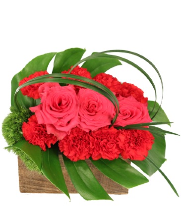 Blazing Kiss Floral Design in Albany, NY | Ambiance Florals & Events