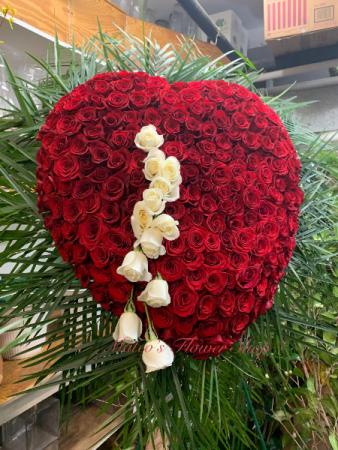 Bleeding Heart 