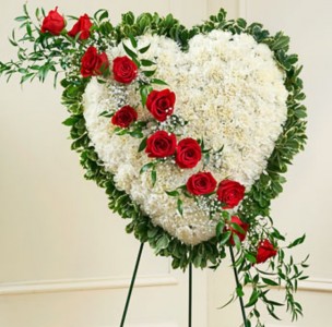 Bleeding Heart Sympathy 
