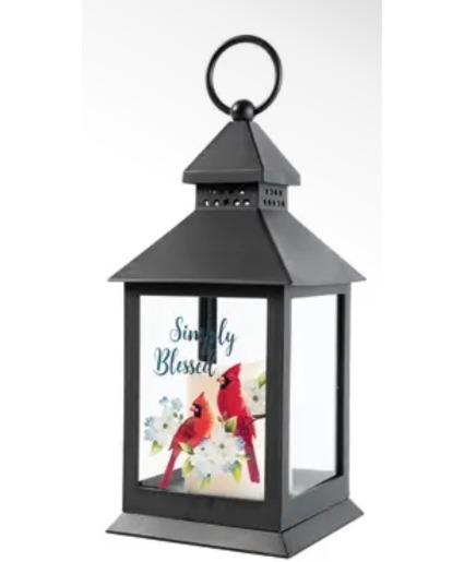 Blessed Cardinal Lantern  Lantern 