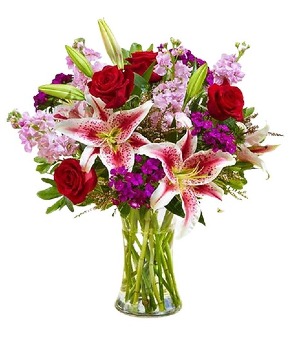 Elegant Beauty - 00012 - 142185L 