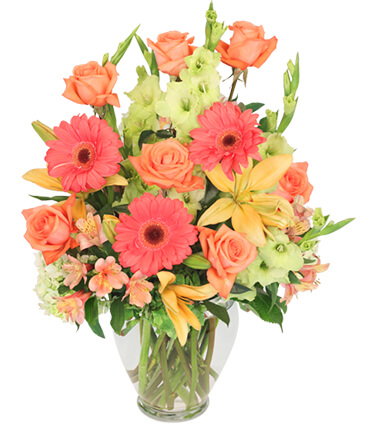 Brilliance Bouquet in Philadelphia, PA | PENNYPACK FLOWERS