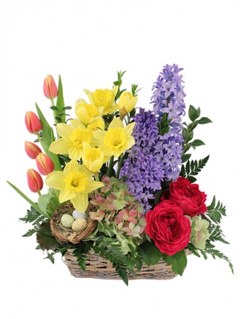 Blissful Garden Flower Basket in Albany, NY | Ambiance Florals & Events