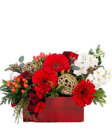 Blitzen's Blossom Box Christmas Flowers in Three Forks, MT | Three Forks Floral