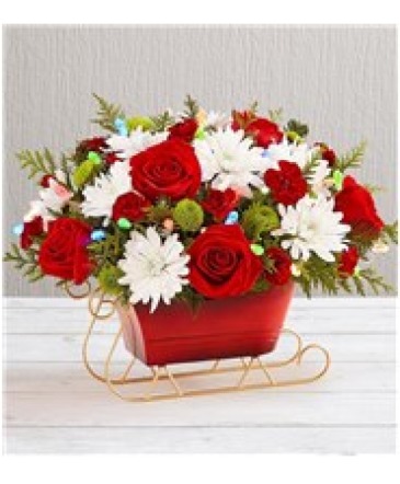 Blitzen's Favorite Sleigh With Multicolor Christmas Lights, Sale priced in Gainesville, FL | PRANGE'S FLORIST- Sara & Lilli V