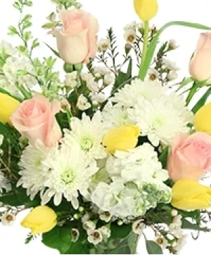 Sunshine Club Subscription Seasonal Flowers Subscription