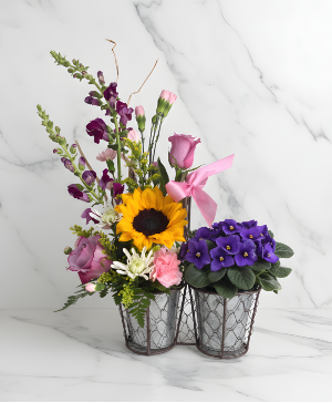 Bloom & Grow(SOLD OUT) Powell Florist Exclusive 