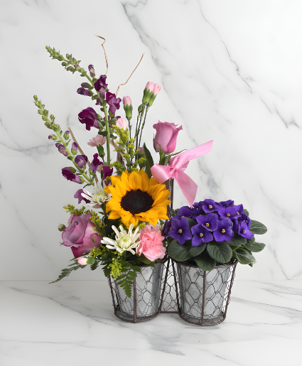 Bloom & Grow(SOLD OUT) Powell Florist Exclusive 