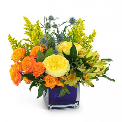 Bloom with Brilliance Arrangement