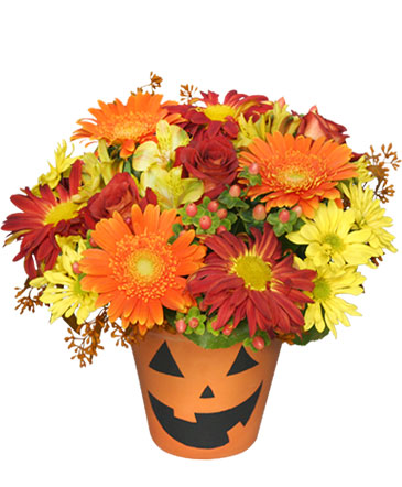 Halloween Flowers Hot Springs, AR | THE ARRANGEMENT