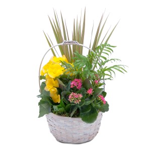 Bloomin' Sunshine Days Basket