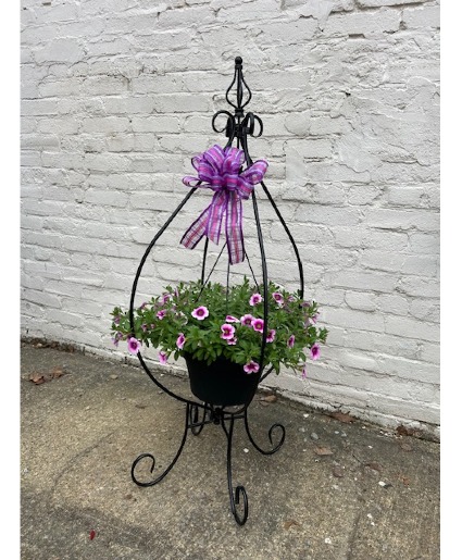 Blooming Basket in Stand Blooming Plant