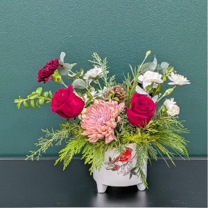 Blooming Cardinal 