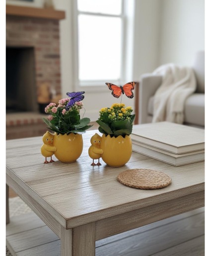 Genn Blooming Chikadee!! Blooming Plant