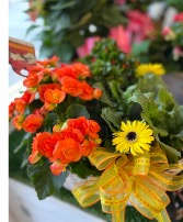 Blooming European Garden Plants