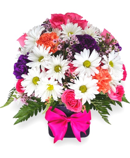 Blooming Fiesta 