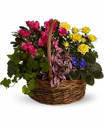 Blooming Garden Basket  in Johns Creek, GA | Flower Story