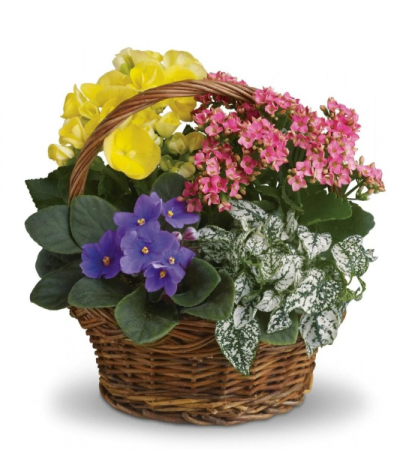Blooming Garden Basket 