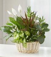 ROMA FLORIST BLOOMING GARDEN BASKET 