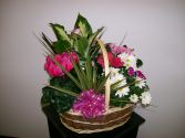 Blooming Garden Basket Plants