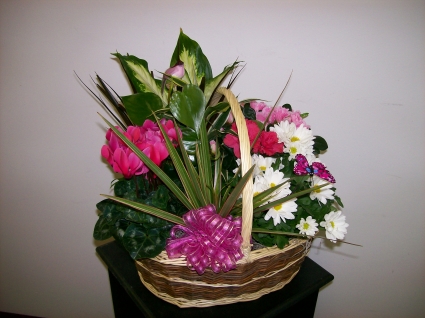 Blooming Garden Basket Plants