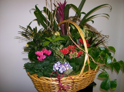 Blooming Garden Basket Plants