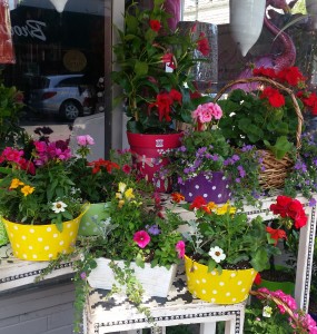 Blooming Gardens Outdoor planters