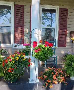 Blooming Hanging Basket  