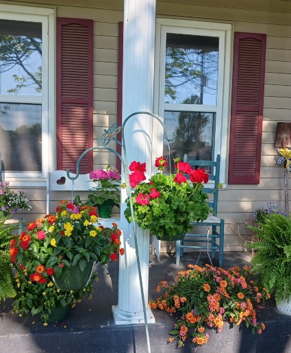 Blooming Hanging Basket  