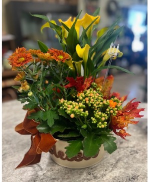 Blooming Plants Basket "Blessed" Tin Container