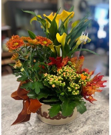 Blooming Plants Basket "Blessed" Tin Container in Portland, MI | COUNTRY CUPBOARD FLORAL