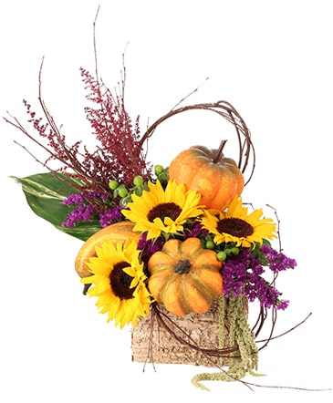 Blooming Pumpkin Patch Floral Design in Darien, CT | DARIEN FLOWERS