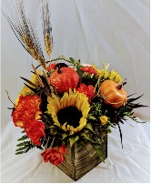 Flowering Pumpkin Patch  Wooden Box Arrangement