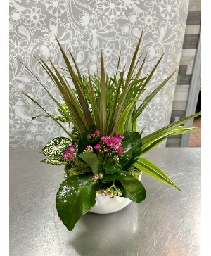 Blooming Garden  