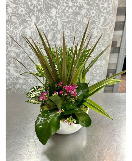 Blooming Garden  