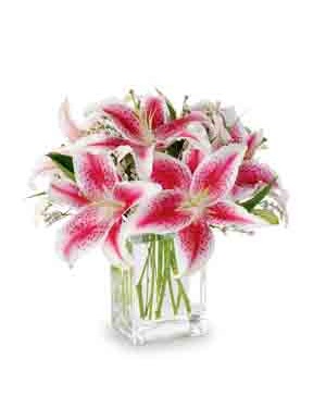 Blooming Stargazers Bouquet