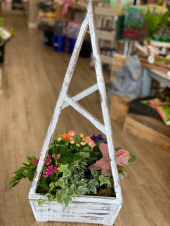 Blooming Trellis Garden 